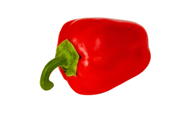 One pepper is on a white background. — Stock Photo, Image
