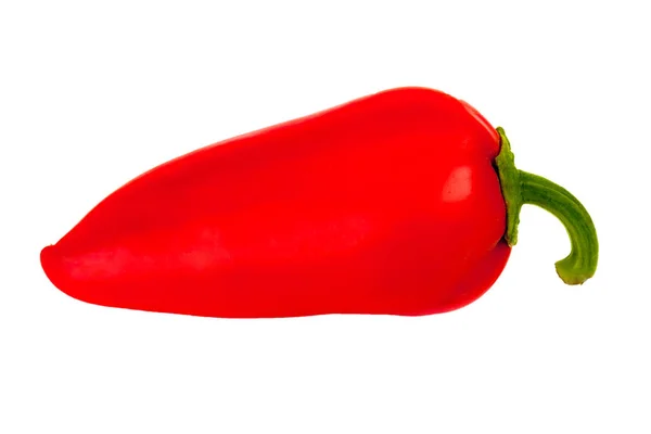 One pepper is on a white background. — Stock Photo, Image