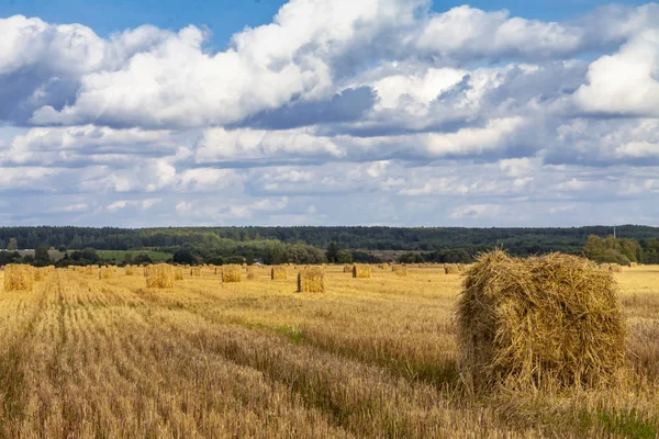 stock image Straw bales with blue cloudy sky