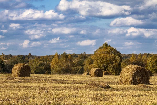 Mavi bulutlu gökyüzü ile saman balya