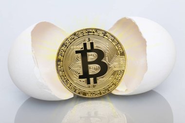 Bitcoin yumurtadan çıkım