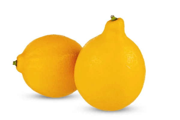 흰 배경에 신선하고 천연 레몬 두 개를 클로즈업 한 모습. — 스톡 사진