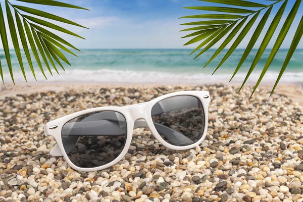 Сонцезахисні окуляри лежать на пляжі біля моря в оточенні папороті . Стокове Зображення
