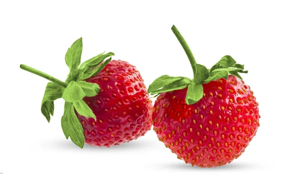 Zwei Beeren nicht große Erdbeeren auf weißem Hintergrund. — Stockfoto