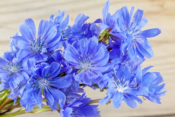 Flores Azules Verano Encuentran Sobre Fondo Madera Natural — Foto de Stock