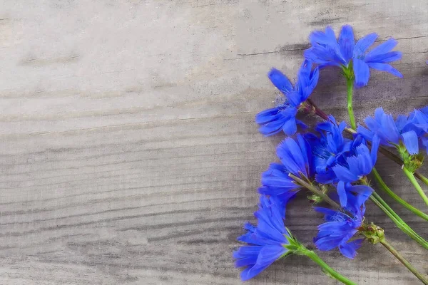 Blue Summer Flowers Lie Natural Wooden Background — Stock Photo, Image