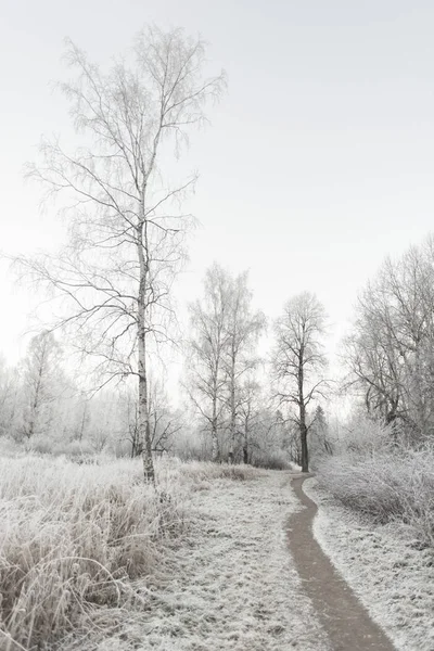 Mráz a sníh v Rusku — Stock fotografie