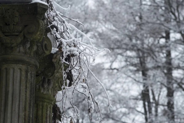 Kış ve kar Rusya'da