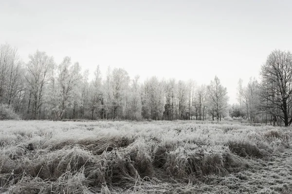 Mráz a sníh v Rusku — Stock fotografie