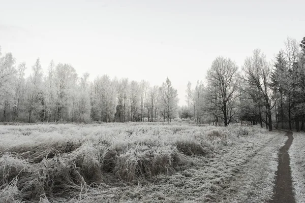 Kış ve kar Rusya'da