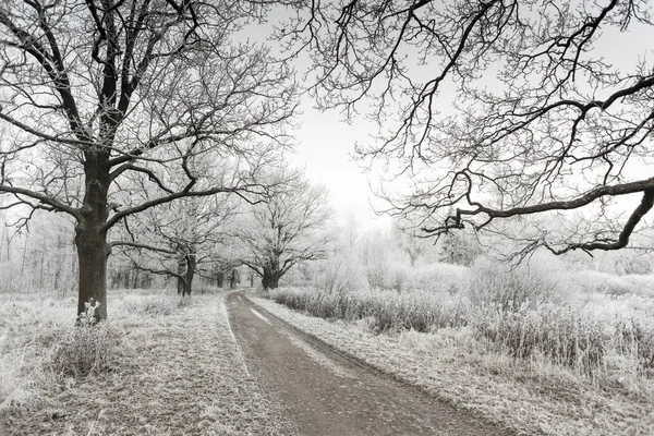 Kış ve kar Rusya'da
