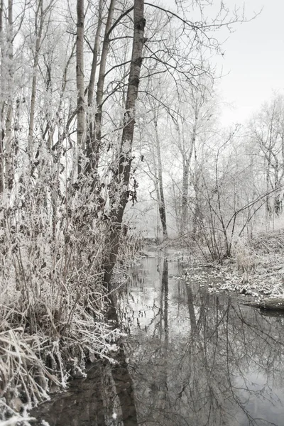 Invierno y nieve en Rusia — Foto de Stock