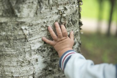Bir yıl çocuk yaz parkta çim üzerinde koyu kahverengi gözlü