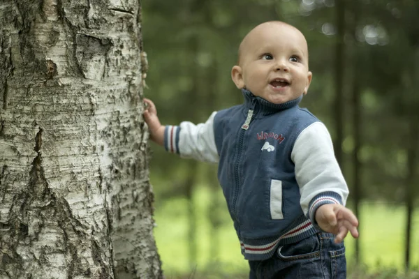 Bir yıl çocuk yaz parkta çim üzerinde koyu kahverengi gözlü