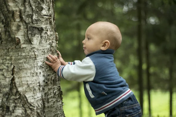 Bir yıl çocuk yaz parkta çim üzerinde koyu kahverengi gözlü