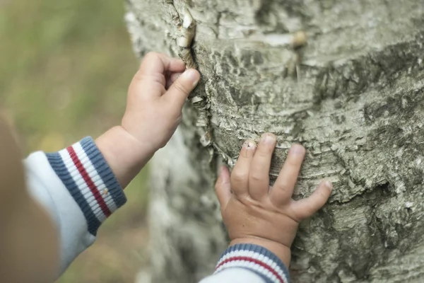 Bir yıl çocuk yaz parkta çim üzerinde koyu kahverengi gözlü