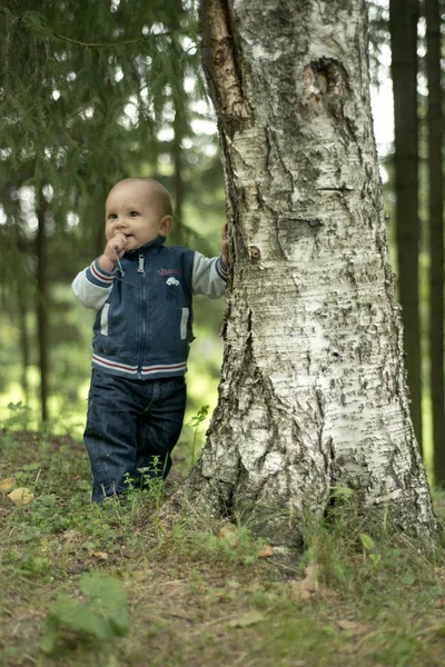 Bir yıl çocuk yaz parkta çim üzerinde koyu kahverengi gözlü