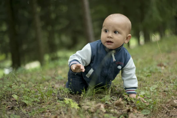 Bir yıl çocuk yaz parkta çim üzerinde koyu kahverengi gözlü
