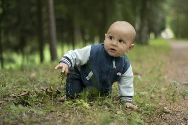 Ein Einjähriger Junge Mit Dunkelbraunen Augen Sommer Auf Dem Rasen — Stockfoto