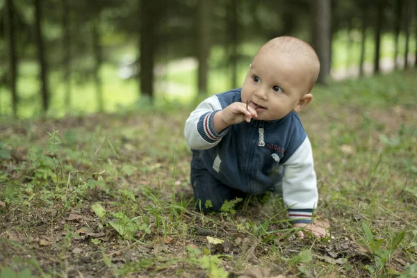 Bir yıl çocuk yaz parkta çim üzerinde koyu kahverengi gözlü