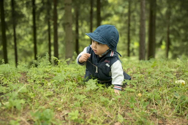 Bir yıl çocuk yaz parkta çim üzerinde koyu kahverengi gözlü