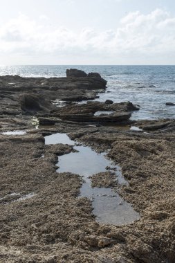 İsrail Herzliya denizde