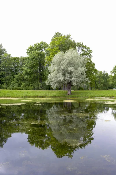 Rusya, Puşkin, Aleksandrovskij park