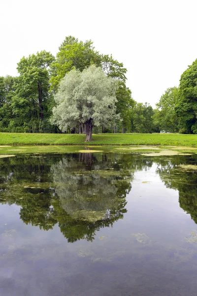 Rusya, Puşkin, Aleksandrovskij park
