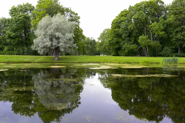 Rusya, Puşkin, Aleksandrovskij park