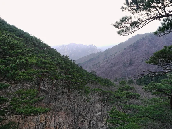 Belle Montagne Corea Del Sud — Foto Stock