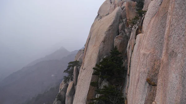 Der Fels Und Der Nebel — Stockfoto