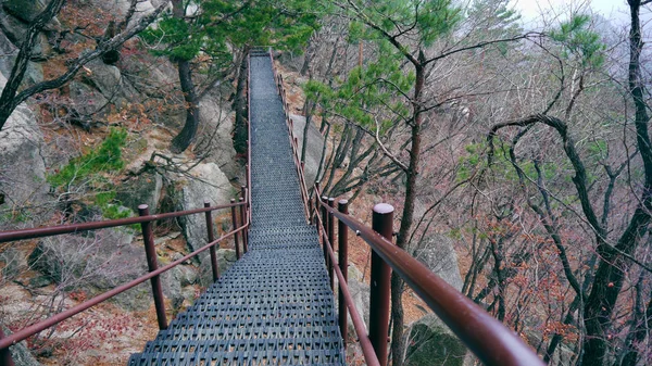 Escadas Nas Montanhas Parque Nacional Seoraksan Coreia Sul — Fotografia de Stock