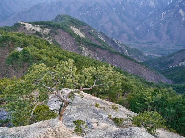 Vista Verso Splendide Montagne Dall Alta Vetta Parco Nazionale Seoraksan — Foto Stock