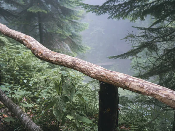 Ringhiera di legno nella foresta delle montagne del Caucaso — Foto Stock