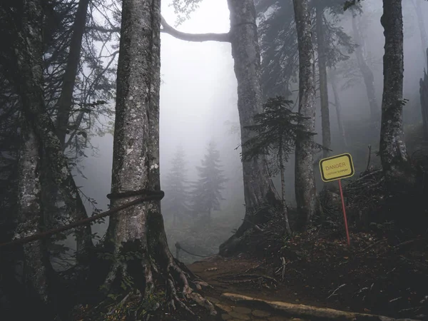 Il segno "Pericolo" nella foresta delle montagne del Caucaso. Alberi in — Foto Stock