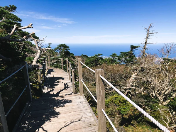 Daleko na sopce Hallasan. Jeju Island, Jižní Korea — Stock fotografie