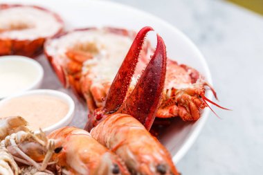 Taze deniz ürünleri tabağı ıstakoz, midye ve istiridye