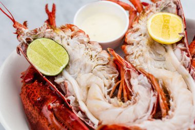 Sos ve kireç ile taze ıstakoz