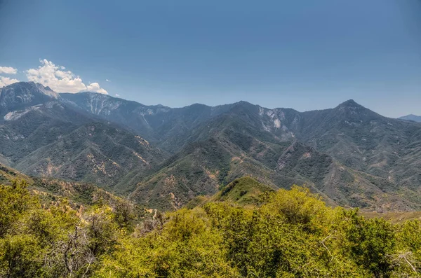 山风景在红杉国家公园 — 图库照片