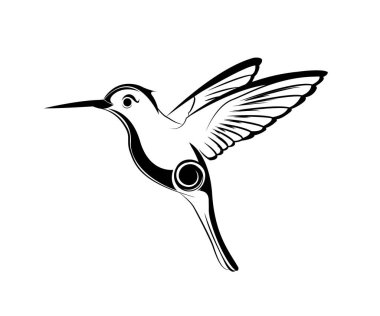 Kuş collibree filmde