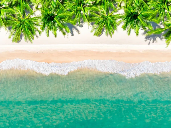 Letecký Pohled Shora Krásná Topická Pláž Bílým Pískem Kokosové Palmy — Stock fotografie