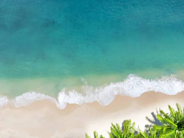 Gökyüzü Manzaralı Beyaz Kum Hindistan Cevizi Palmiyeleri Deniz Manzaralı Güzel — Stok fotoğraf