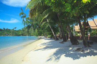 Tropikal beyaz kum, palmiyeler ve su Beach Koh Chang Lüks Bungalov ile mavi
