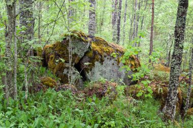 Tiversky kent sahəsi ormanında kayalar