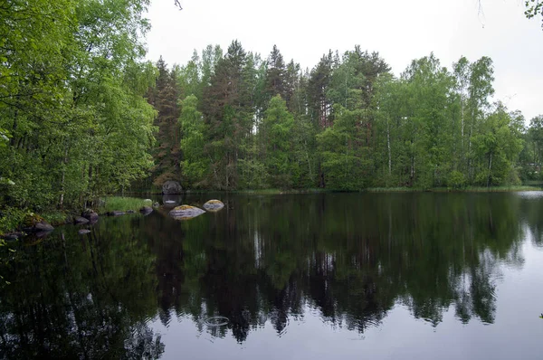 Vuoksa River Området Tiversky Stad Byn Vasilyevo Priozersk District Leningrad — Stockfoto
