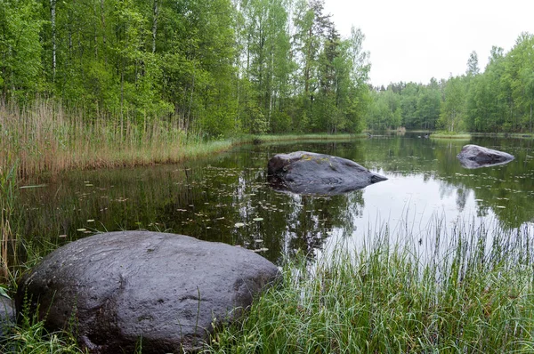 Vuoksa river i området i Tiversky stad — Stockfoto