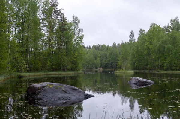 Vuoksa River Området Tiversky Stad Byn Vasilyevo Priozersk District Leningrad — Stockfoto