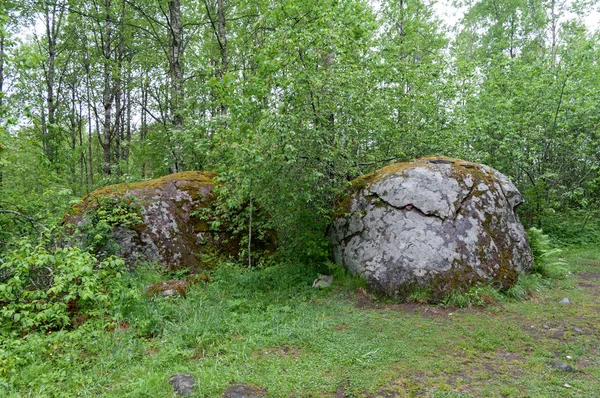 Głazy w lesie w okolicy miasta Tiversky — Zdjęcie stockowe