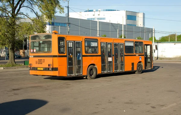 Ônibus Siccar Inbus U240Ft Terminal Estação Sul Kaliningrado Federação Russa — Fotografia de Stock