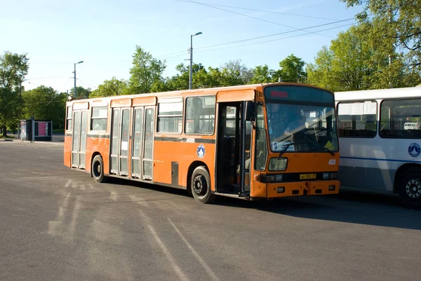 Autobús Siccar Inbus U240Ft Terminal Estación Sur Kaliningrado Federación Rusa — Foto de Stock